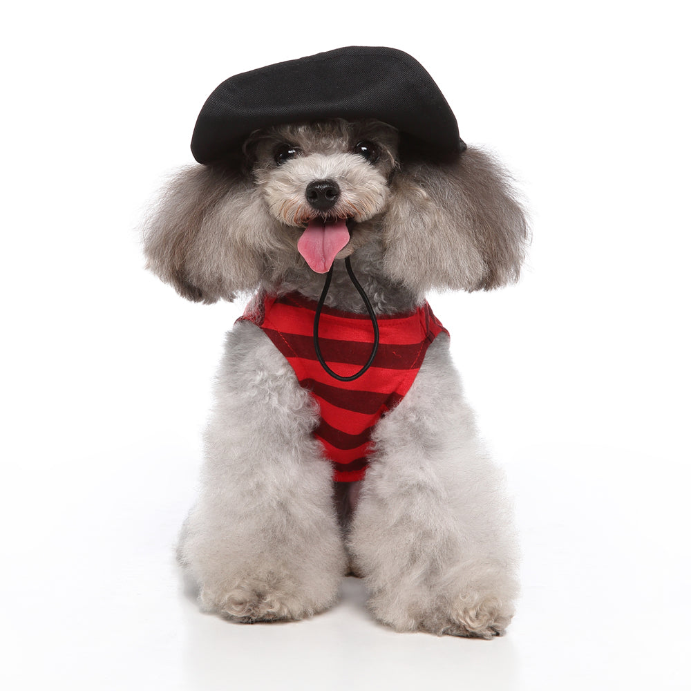 Dog Costume - Pirate