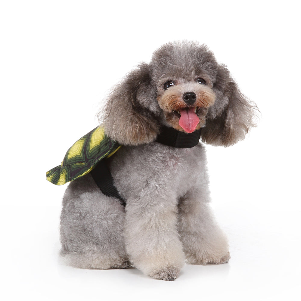 Dog Costume - Turtle