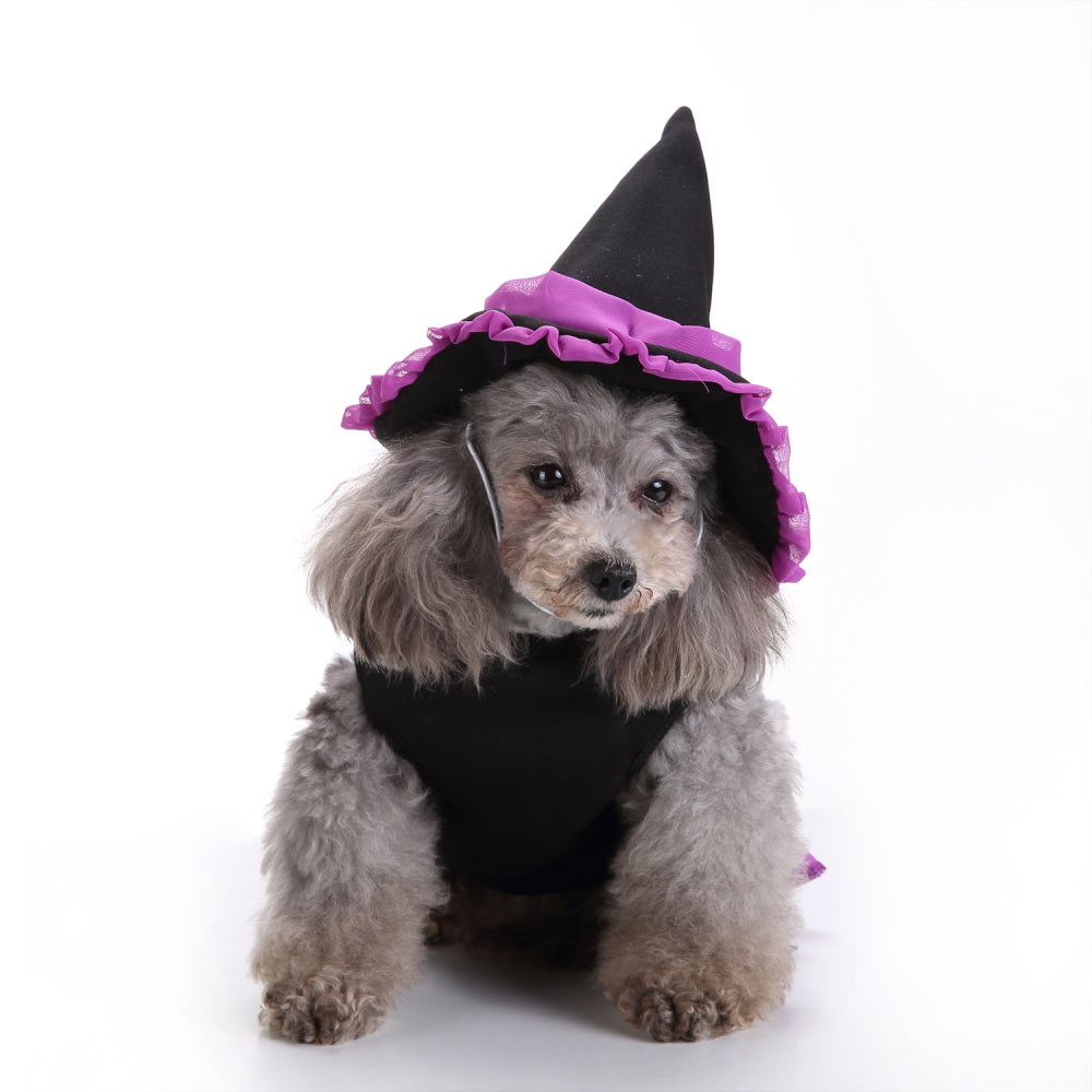 Dog Costume - Purple Witch