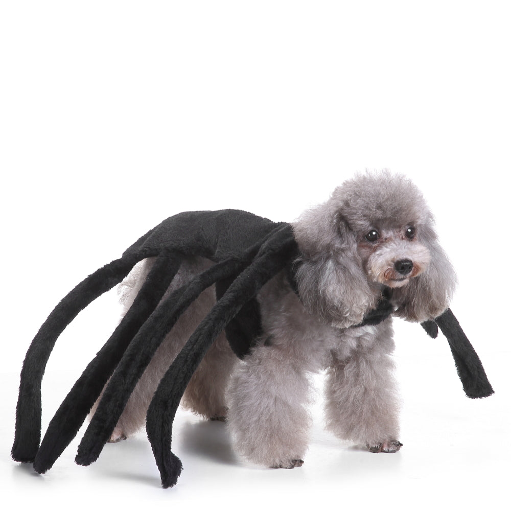 Dog Costume - Spider