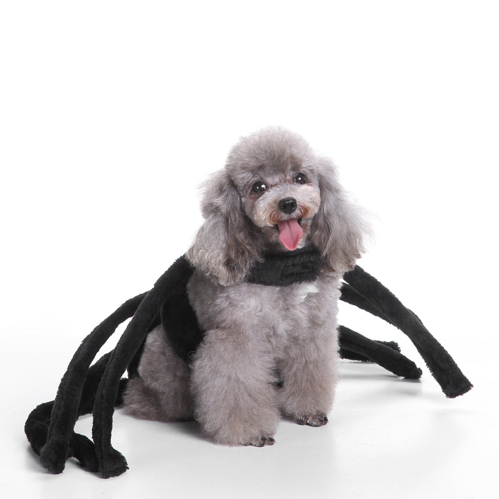 Dog Costume - Spider