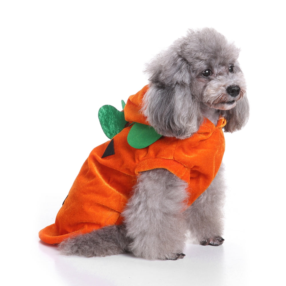 Dog Costume - Pumpkin