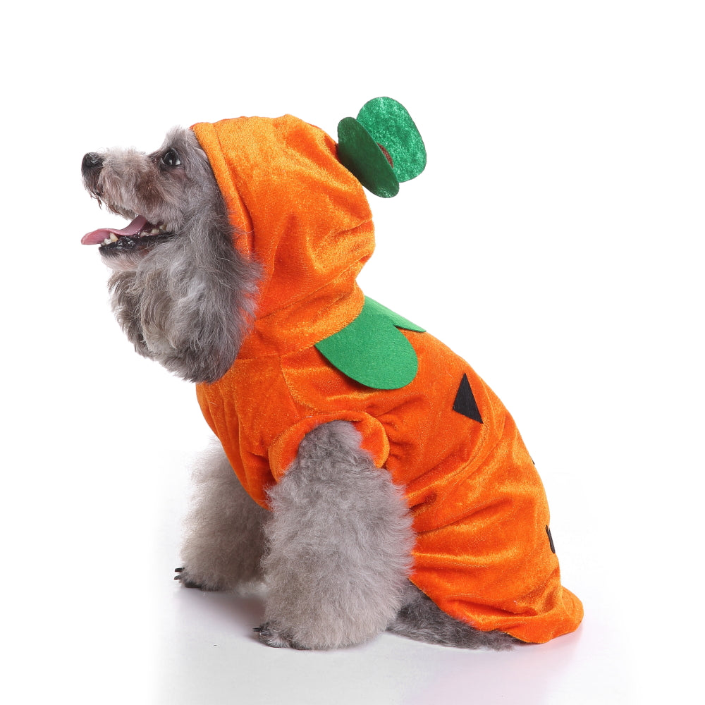 Dog Costume - Pumpkin