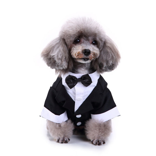 Dog Black Suit - Special Occasion